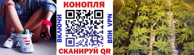 Купить закладки Юрга МАРИХУАНА сатива